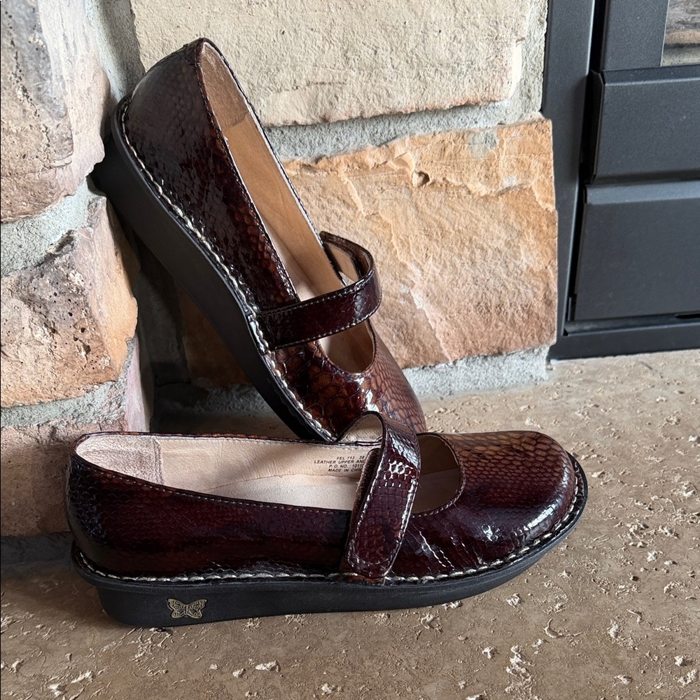 Alegria Dark Brown Snakeskin Feliz Mary Jane Loafers Like New sz 38